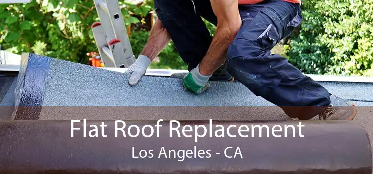 Flat Roof Replacement Los Angeles - CA