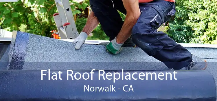 Flat Roof Replacement Norwalk - CA