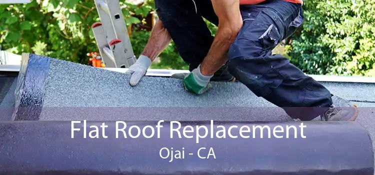 Flat Roof Replacement Ojai - CA