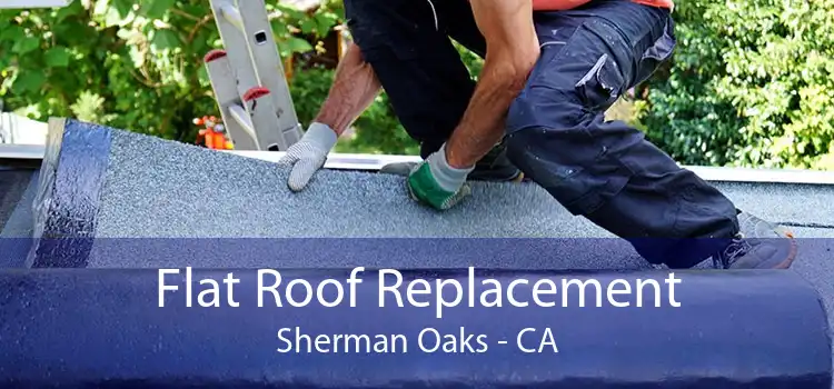 Flat Roof Replacement Sherman Oaks - CA