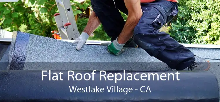 Flat Roof Replacement Westlake Village - CA