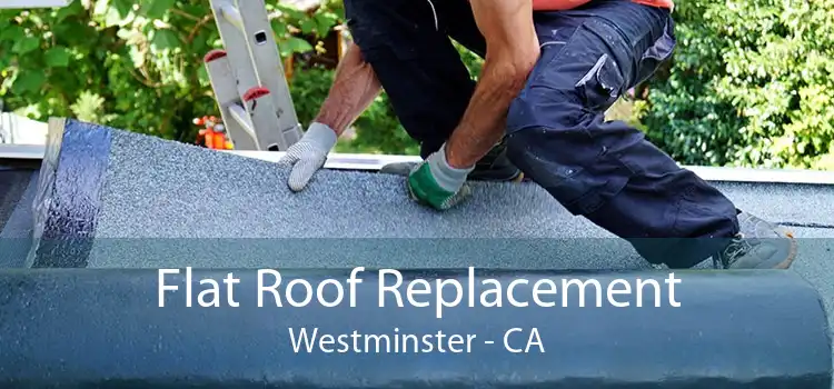 Flat Roof Replacement Westminster - CA