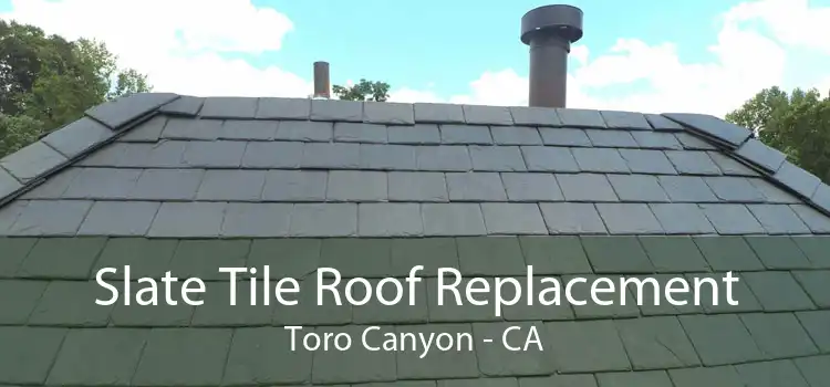 Slate Tile Roof Replacement Toro Canyon - CA