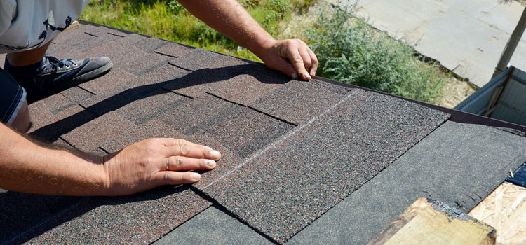 Asphalt Shingle Roof Replacement Services
