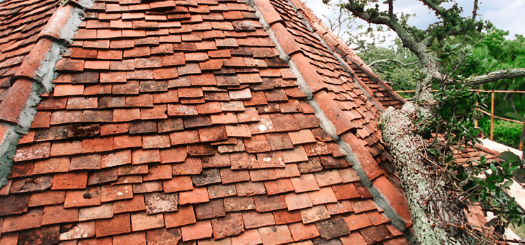 Roof Replacement Cost in Arleta, CA